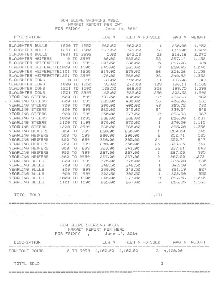 Market Report: Bowslope Cattle Auctions