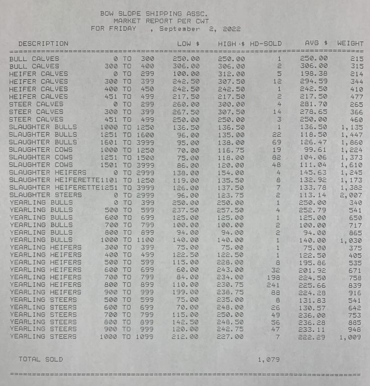 Market Report: Bowslope Cattle Auctions